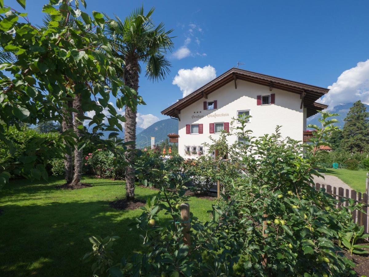 Guesthouse Pension Grafenstein 3*